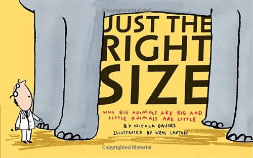 Cover for Nicola Davies · Just the Right Size: Why Big Animals Are Big and Little Animals Are Little (Paperback Book) [Reprint edition] (2011)