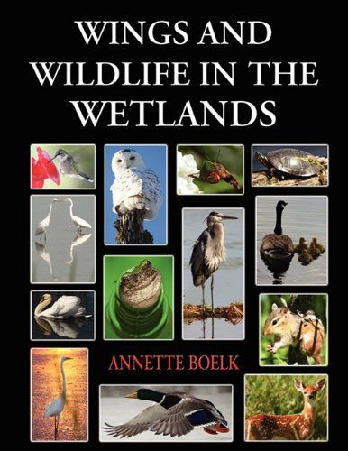 Cover for Annette Boelk · Wings and Wildlife in the Wetlands (Paperback Book) (2009)