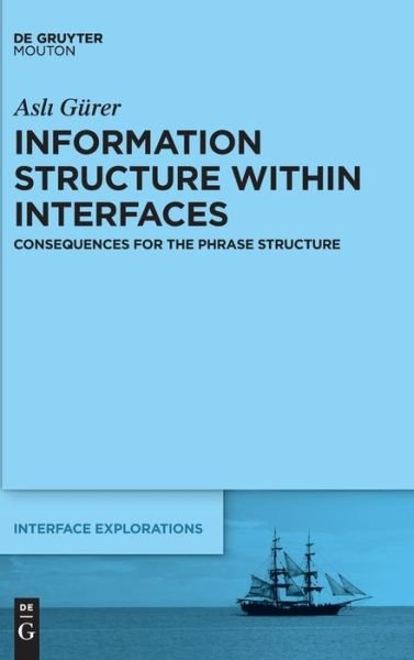 Cover for Gürer · Information Structure Within Inte (Book) (2020)