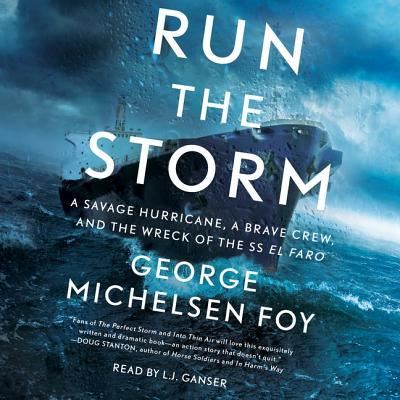 Run the Storm - George Michelsen Foy - Muzyka - Simon & Schuster Audio - 9781508264002 - 1 maja 2018