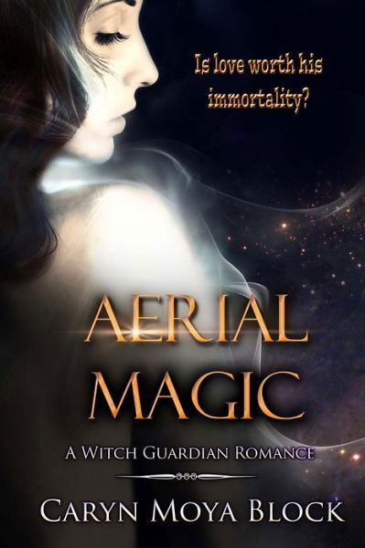 Cover for Caryn Moya Block · Aerial Magic (Taschenbuch) (2015)