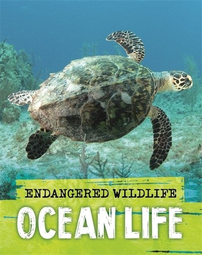 Cover for Anita Ganeri · Endangered Wildlife: Rescuing Ocean Life (Innbunden bok) (2020)