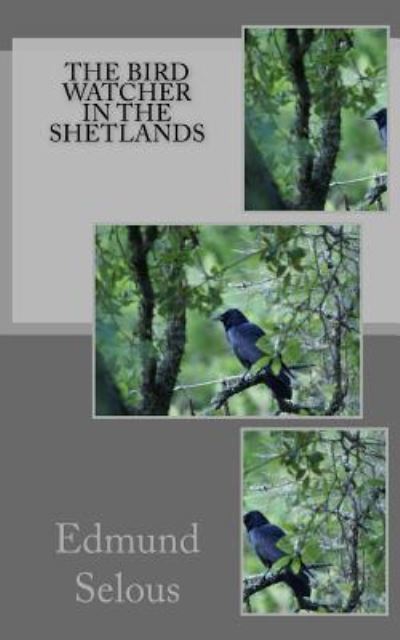 Cover for Edmund Selous · The Bird Watcher in the Shetlands (Paperback Book) (2016)