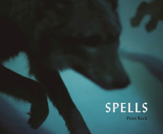 Cover for Rock, Peter, MD, FCCP, MBA · Spells: A Novel Within Photographs (Paperback Book) (2017)