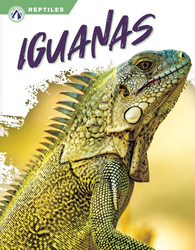 Cover for Shannon Jade · Iguanas (Book) (2023)