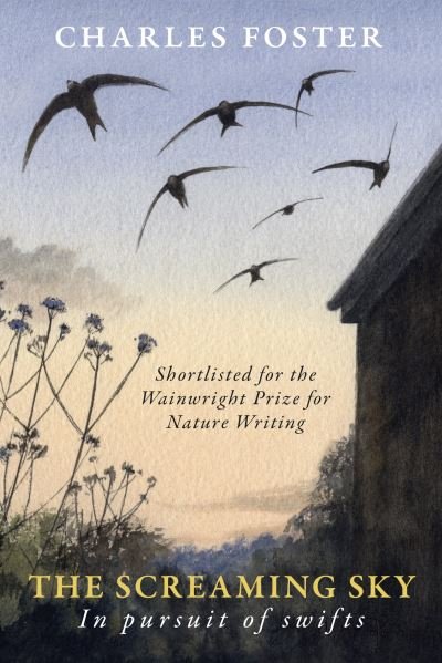 The Screaming Sky: in pursuit of swifts - Charles Foster - Books - Little Toller Books - 9781915068002 - April 5, 2022