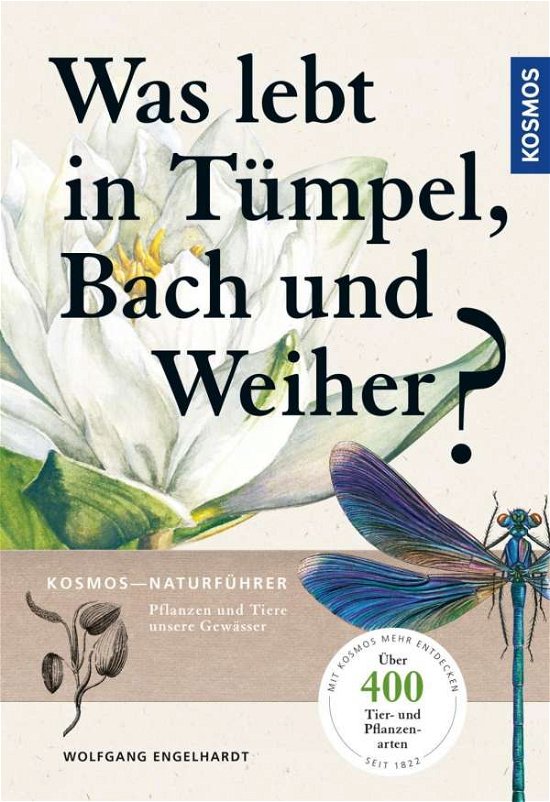 Cover for Engelhardt · Was lebt in Tümpel, Bach und (Bok)