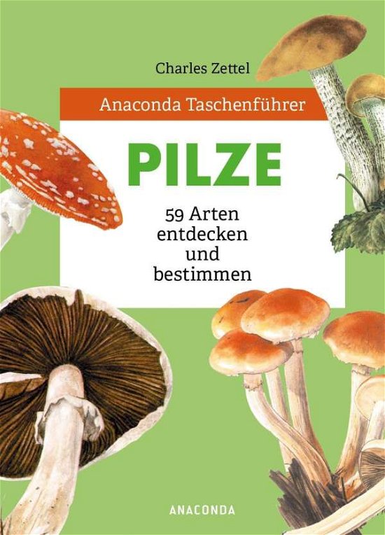 Cover for Charles Zettel · Anaconda Taschenführer Pilze. 59 Arten entdecken und bestimmen (Gebundenes Buch) (2020)