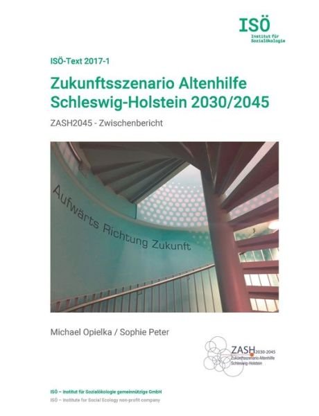 Cover for Peter · Zukunftsszenario Altenhilfe Schle (Bok) (2017)