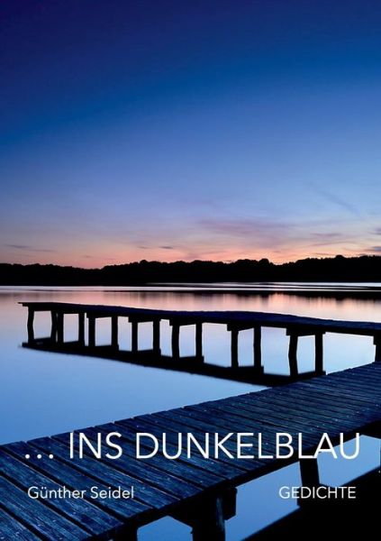 Cover for Seidel · Ins Dunkelblau (Buch) (2019)