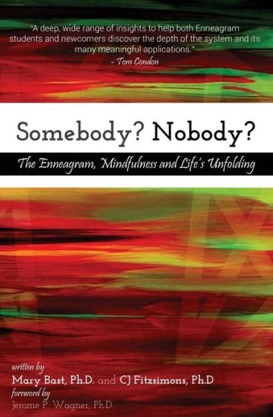 Cover for Cj Fitzsimons Ph D · Somebody? Nobody? (Pocketbok) (2017)