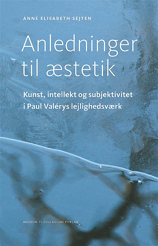 Cover for Anne Elisabeth Sejten · Anledninger til æstetik (Bound Book) [1e uitgave] (2015)