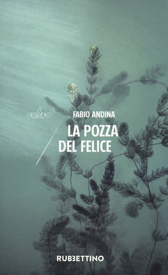 Cover for Fabio Andina · La Pozza Del Felice (Book)