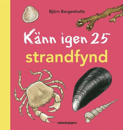 Känn igen 25: Känn igen 25 strandfynd - Björn Bergenholtz - Böcker - Rabén & Sjögren - 9789129687002 - 11 april 2013