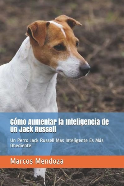 Cover for Marcos Mendoza · Como Aumentar la Inteligencia de Un Jack Russell: Un Perro Jack Russell Mas Inteligente Es Mas Obediente (Paperback Bog) (2021)