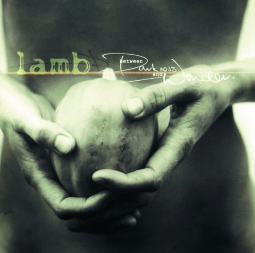 Cover for Lamb · Between Darkness and Wonder (CD) (2016)