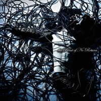 Cover for D.i.d. · Point of No Return &lt;limited&gt; (CD) [Japan Import edition] (2013)