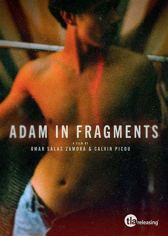 Cover for Adam in Fragments · Adam In Fragments (DVD) (2022)