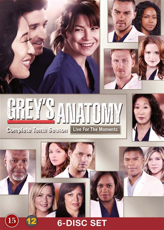 Cover for Grey’s Anatomy · Greys Anatomy / Greys Hvide Verden - Saeson 10 - DVD /tv Series (DVD) (2014)