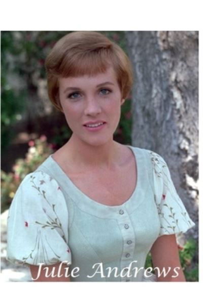 Cover for Harry Lime · Julie Andrews The Untold Story (Paperback Book) (2020)