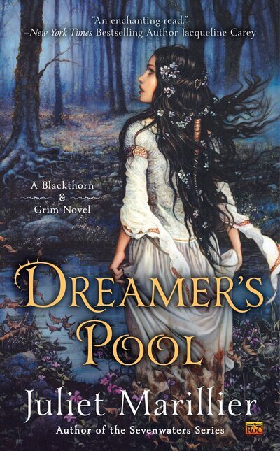 Cover for Juliet Marillier · Dreamer's Pool - Blackthorn &amp; Grim (Taschenbuch) (2015)
