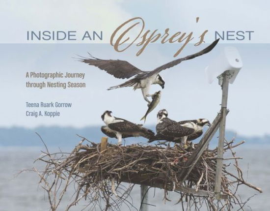 Cover for Teena Ruark Gorrow · Inside an Osprey's Nest: A Photographic Journey through Nesting Season (Hardcover bog) (2016)