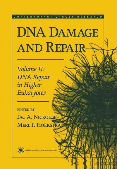 Cover for Jac a Nickoloff · DNA Damage and Repair: Volume 2: DNA Repair in Higher Eukaryotes - Contemporary Cancer Research (Hardcover Book) (1998)