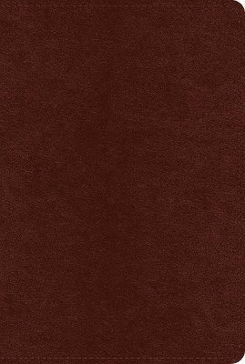 Cover for ESV Systematic Theology Study Bible: Theology Rooted in the Word of God (TruTone, Chestnut) (Leather Book) (2024)