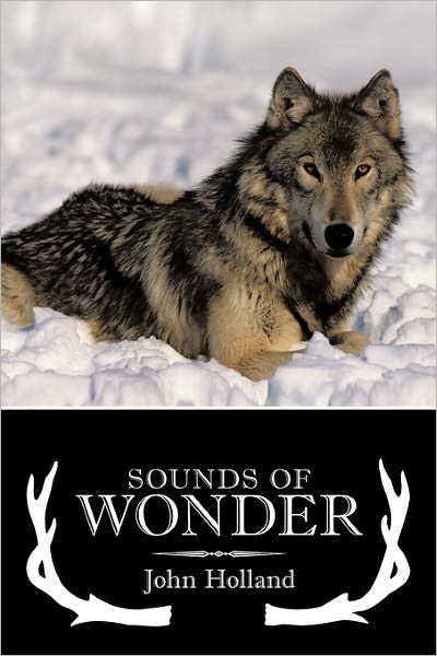 Sounds of Wonder - John Holland - Książki - Authorhouse - 9781452034003 - 2 marca 2011