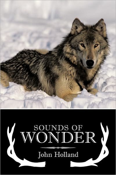 Cover for John Holland · Sounds of Wonder (Paperback Book) (2011)