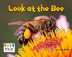 Look at the Bee - Engage Literacy Pink - Jay Dale - Książki - Capstone Global Library Ltd - 9781474715003 - 5 listopada 2015
