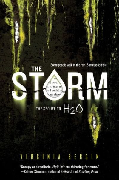 Cover for Virginia Bergin · The Storm (Paperback Bog) (2016)