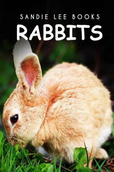 Cover for Sandie Lee Books · Rabbits - Sandie Lee Books (Taschenbuch) (2014)
