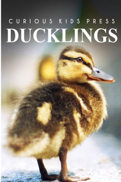 Cover for Curious Kids Press · Ducklings - Curious Kids Press: Kids Book About Animals and Wildlife, Children's Books 4-6 (Paperback Book) (2014)