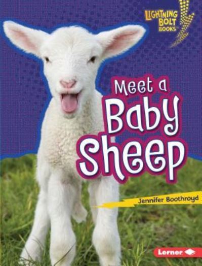 Cover for Jennifer Boothroyd · Meet a baby sheep (Book) (2016)