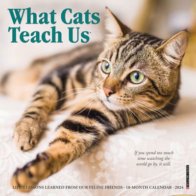Cover for Willow Creek Press · What Cats Teach Us 2024 7 X 7 Mini Wall Calendar (Calendar) (2023)