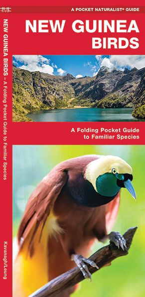 Cover for James Kavanagh · New Guinea Birds: A Folding Pocket Guide to Familiar Species - A Pocket Naturalist Guide (Pamphlet) (2018)