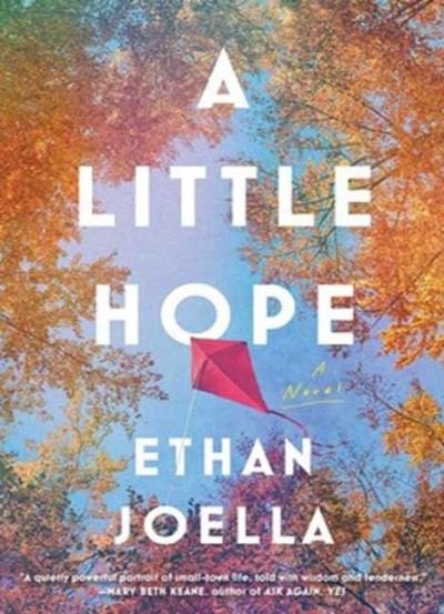 Cover for Ethan Joella · A Little Hope (Hardcover Book) (2022)