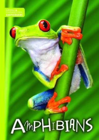 Amphibians - Animal Classification - Charlie Ogden - Books - BookLife Publishing - 9781786371003 - March 2, 2017