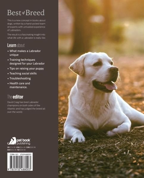 Labrador Retriever Best of Breed - Best of Breed - Craig David - Libros - First Stone Publishing - 9781910488003 - 1 de junio de 2015