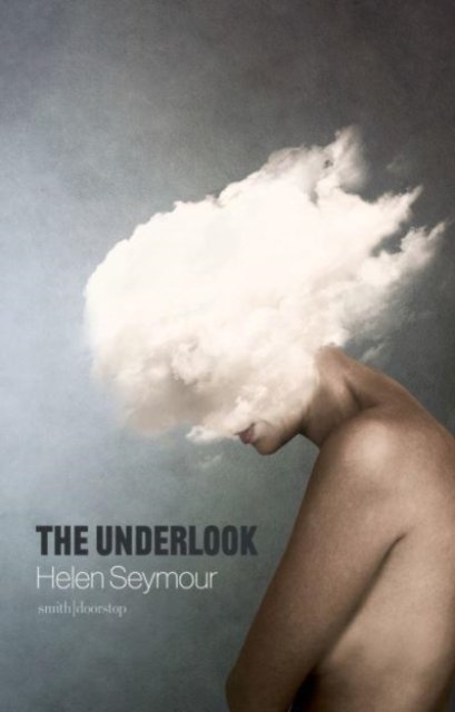 Cover for Helen Seymour · The Underlook (Paperback Book) (2022)