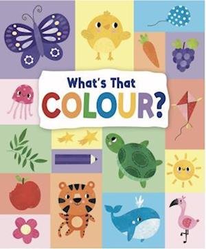 Cover for Emily Kington · What's That Colour (Hardcover Book) (2023)