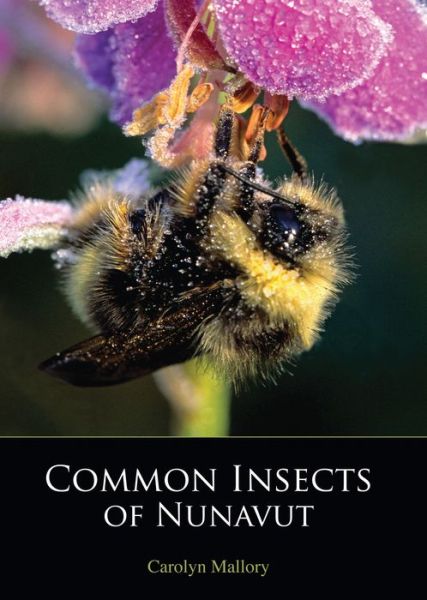 Cover for Carolyn Mallory · Common Insects of Nunavut (Paperback Book) [English edition] (2012)