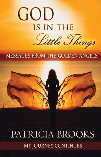 Cover for Patricia Brooks · God Is In The Little Things (Paperback Book) (2016)