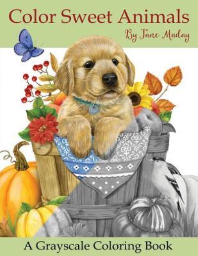 Cover for Jane Maday · Color Sweet Animals (Paperback Book) (2017)