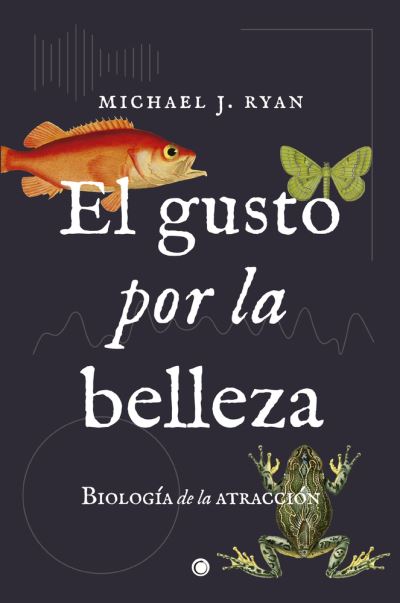 Cover for Michael Ryan · Gusto Por La Belleza, El. Biologia De La Atraccion (Paperback Book) (2022)