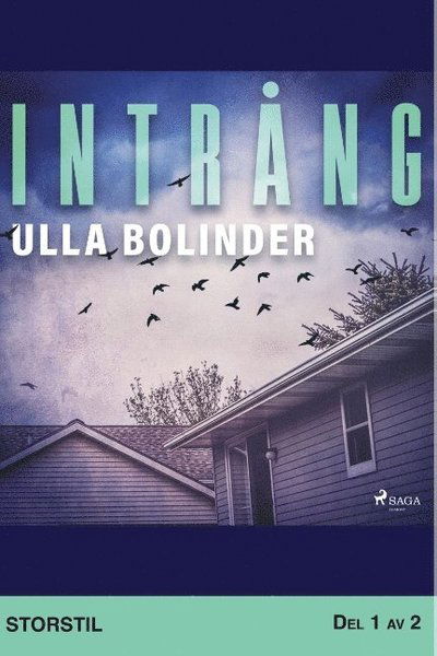 Cover for Ulla Bolinder · Intrång. Del 1 (Paperback Book) (2019)