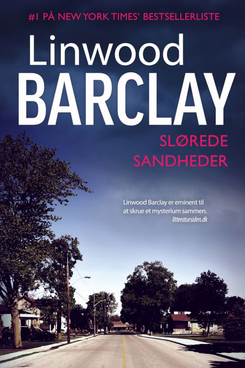 Cover for Linwood Barclay · #2 i Promise Falls-trilogien: Slørede sandheder, CD (CD) [1st edition] (2018)