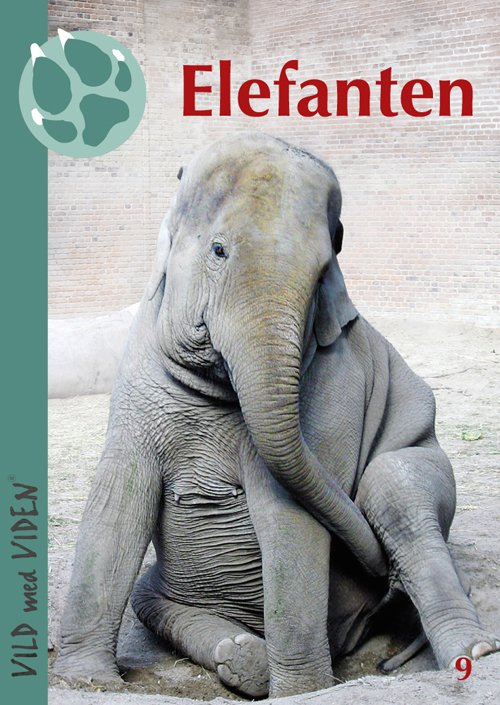 Cover for Bengt Holst · Vild med Viden, Serie 2 Store vilde dyr: Elefanten (Hæftet bog) [1. udgave] (2013)