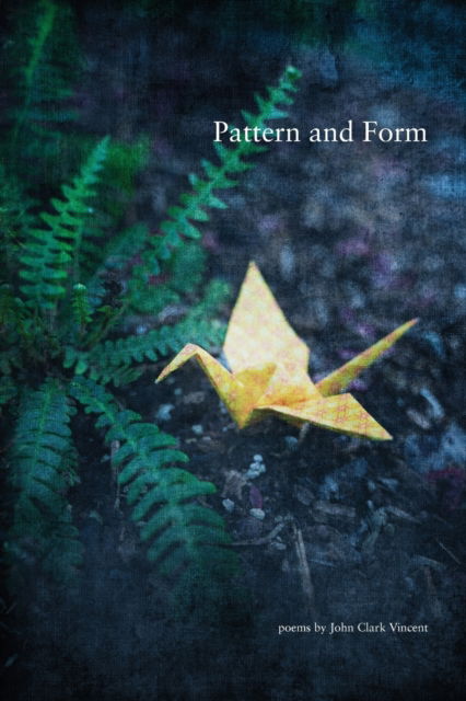 Cover for John C Vincent · Pattern and Form (Paperback Book) (2022)